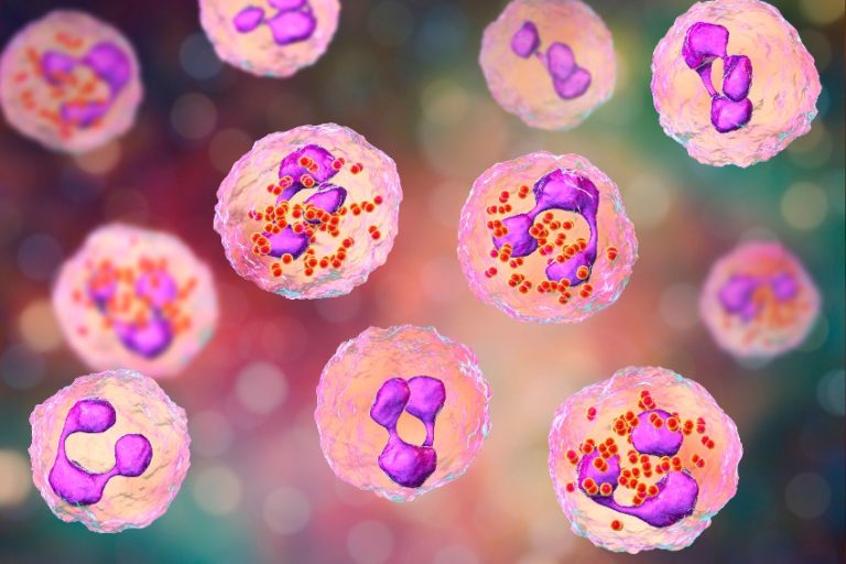 Méningite à méningocoque prophylaxie : Causes, Symptômes, Traitement