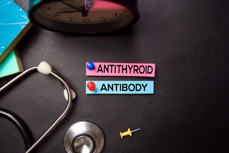 Auto-anticorps antithyroïdiens : présentation, typologie et dosage