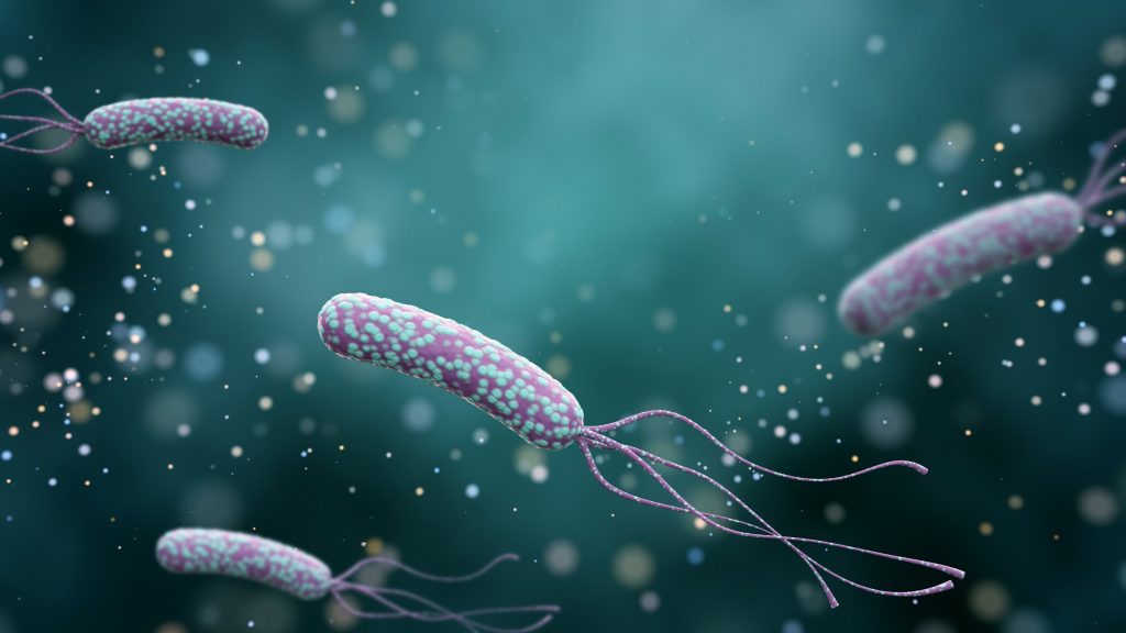 Helicobacter pylori : causes, symptômes et traitements