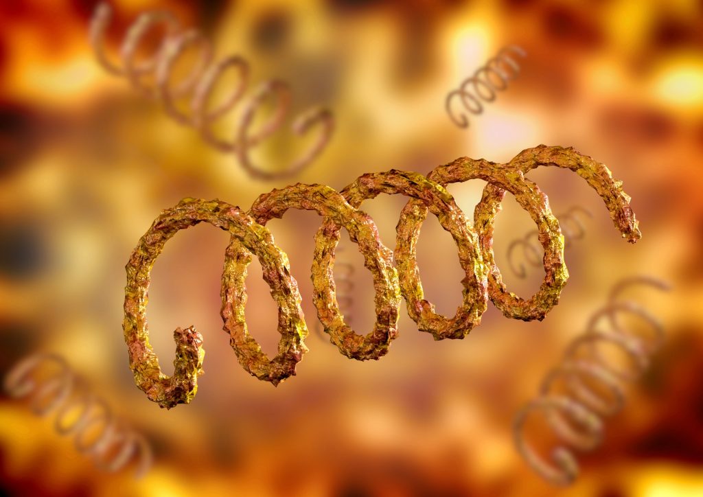 La syphilis : comment s’en débarrasser ?