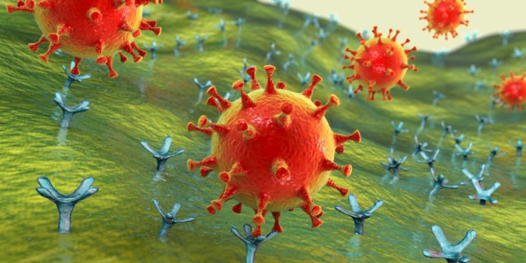 Les inhibiteurs de l’enzyme de conversion : indications, mécanisme d’action