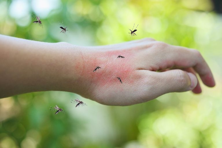Paludisme à plasmodium falciparum : Diagnostic, Traitement et Prévention