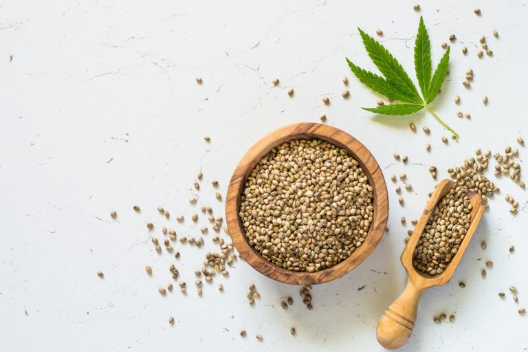 Le cannabis : composition, origines et formes