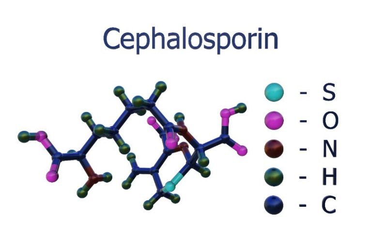 Céphalosporines de 3ème génération : indications, précautions