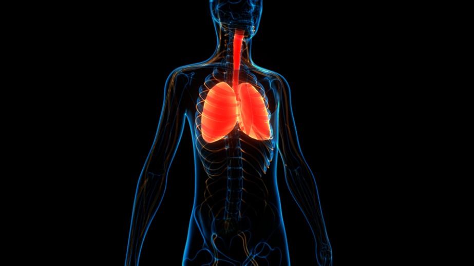 Mucoviscidose : Causes, signes chez l’enfant, traitement