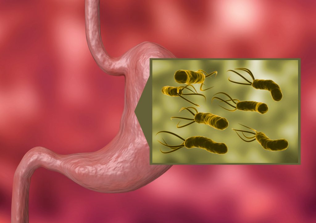 Helicobacter pylori : Mode transmission et manifestations