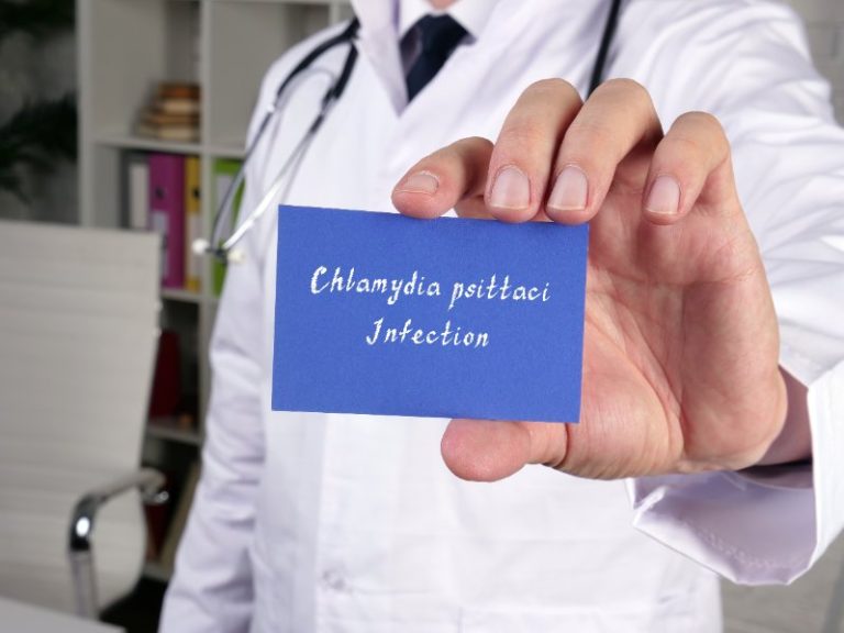 Infection à Chlamydia pneumoniae : causes, symptômes, diagnostic, traitement