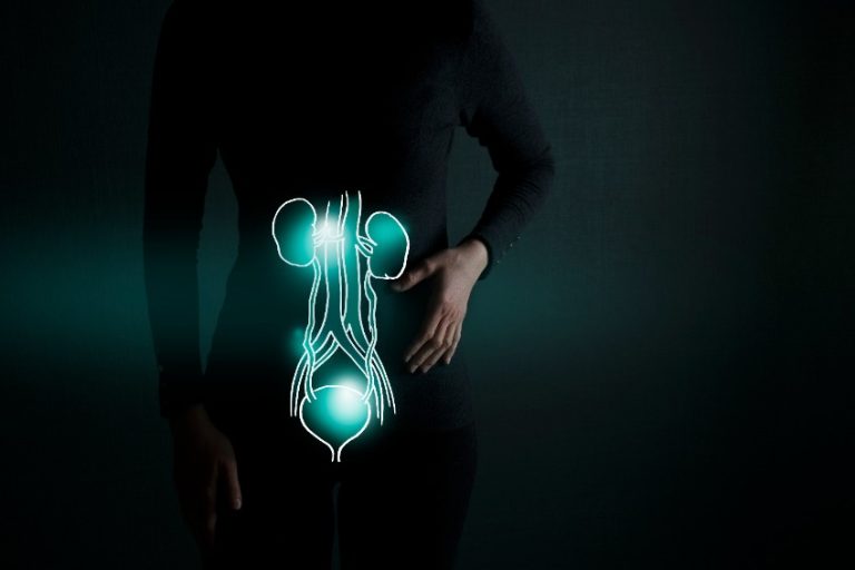 L’insuffisance rénale chronique chez l’adulte : Les moyens thérapeutiques