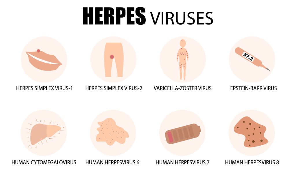 Herpès : Quelles sont les questions fréquentes ?