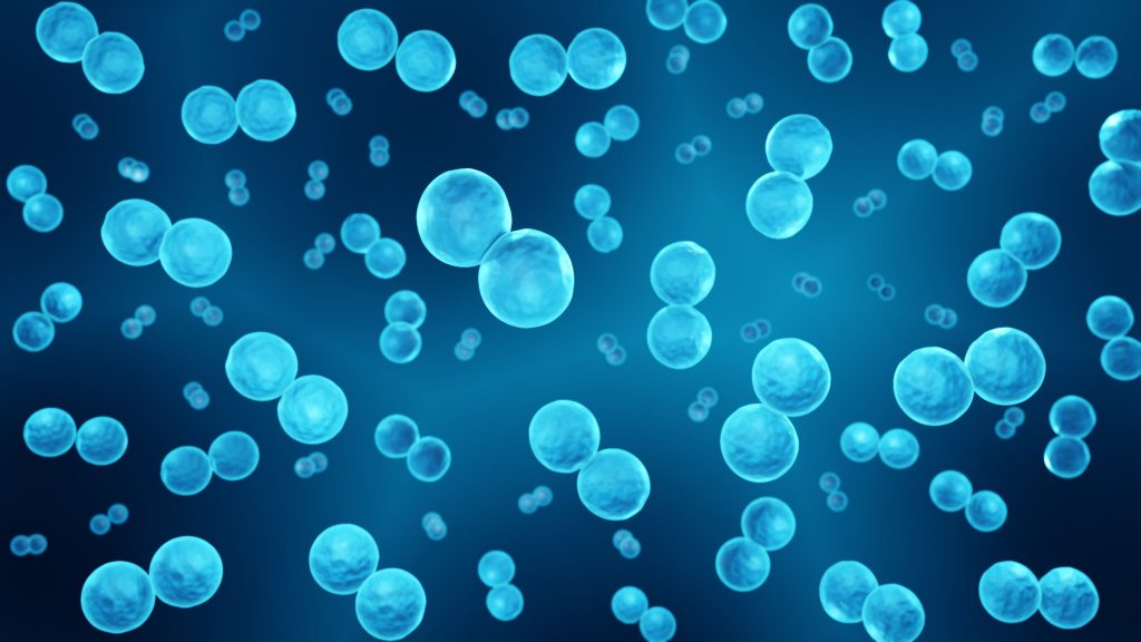 Infections invasives à pneumocoques : causes et traitements