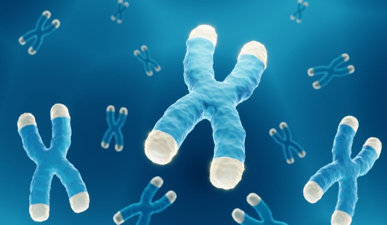 Le syndrome X : causes, symptômes et traitements