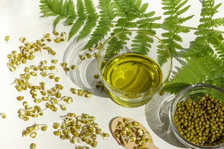 Phyto-œstrogènes : catégories, effets sur la santé