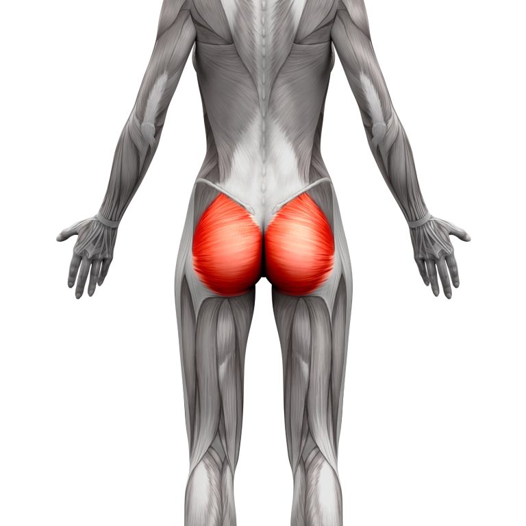 Tendinite du moyen fessier : causes, diagnostic et traitement