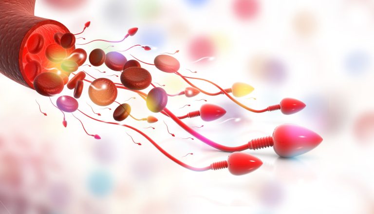 Hémospermie ou hématospermie : causes, symptômes et traitements