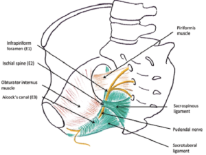 LE SYNDROME D ALCOCK Sympt mes Diagnostic Et Traitement Esculape le-syndrome-d-alcock-sympt-mes-diagnostic-et-traitement-esculape