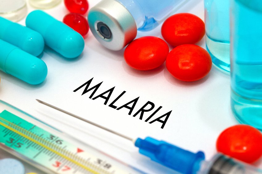Prévention du paludisme à Plasmodium falciparum