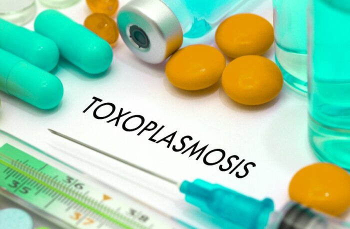 toxoplasmose prévention et traitement