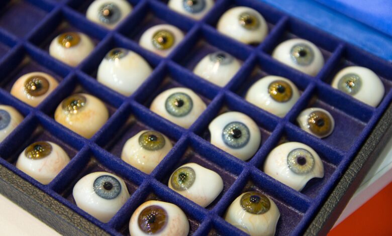 Ensemble de prothèses oculaires