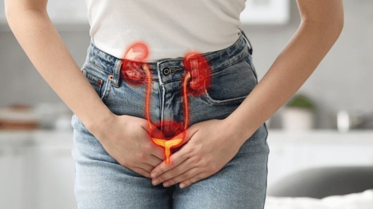 comment soigner une infection urinaire en 10 minutes