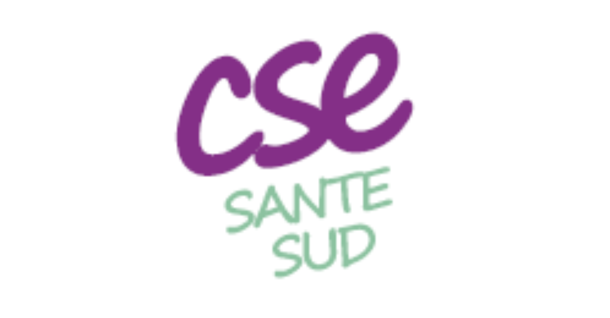 cse santé sud