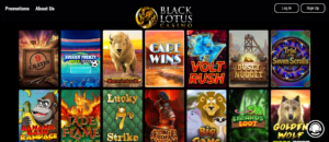 Black Lotus Casino