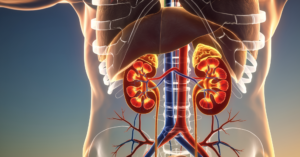 Créatinine élevée