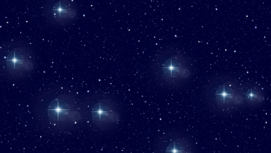 Liste des étoiles francelecture.net
