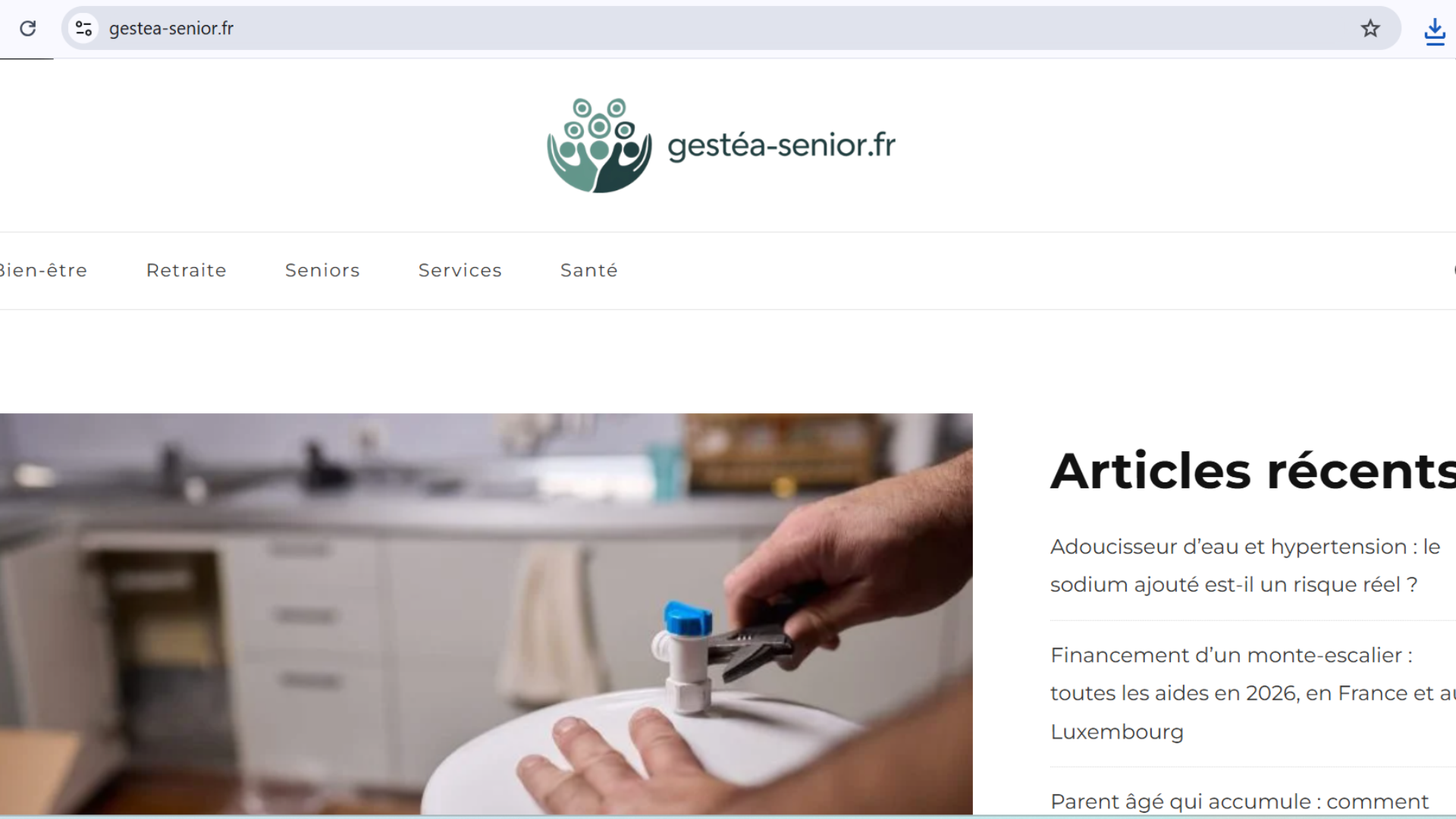 gestea-senior.fr